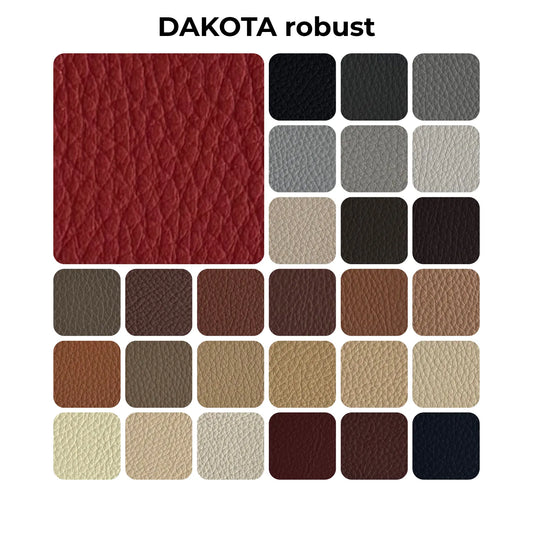 DAKOTA robust leather sample | BMW-type car leather | Leather for preliminary testing