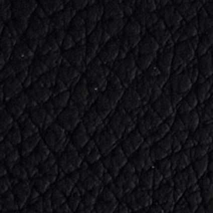 Autoleder_Dakota_robust_0500D_schwarz_black_Typ_BMW