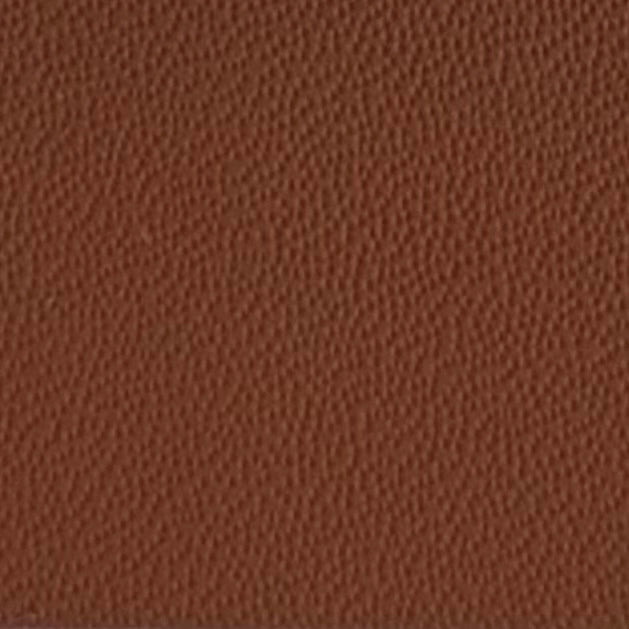 Autoleder_Nappa_Plus-3487_saddle_Typ_Bentley_PAS_2585