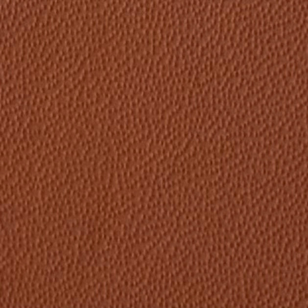 Autoleder_Nappa_Plus-3540_new_market_tan_Typ_Bentley_PAS_2837