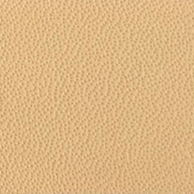 Autoleder_Nappa_Plus-3941_barley_Typ_Bentley