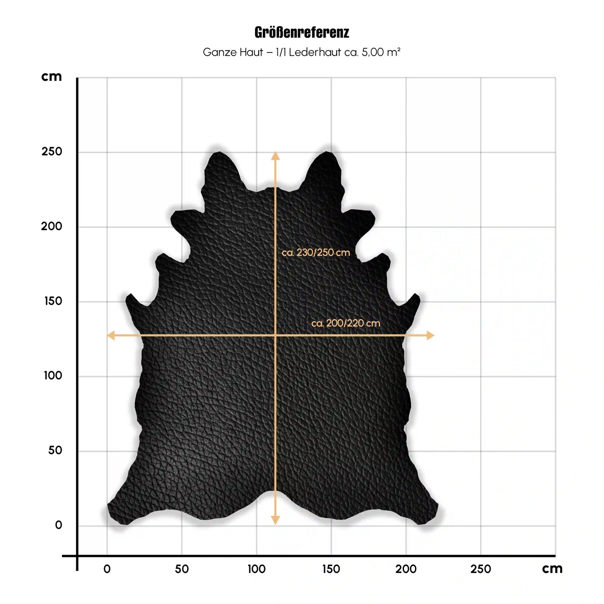 Lederhaut_1_1_EU_Haut_230_250x200_220cm