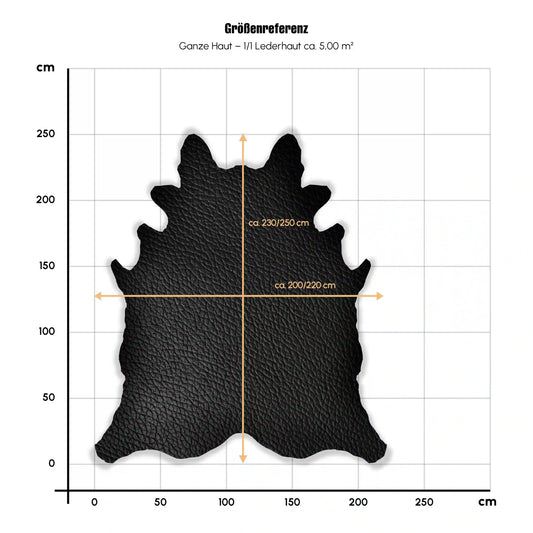 Lederhaut_1_1_EU_Haut_230_250x200_220cm