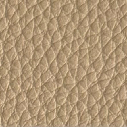 Autoleder_Dakota_robust_3411D_venetobeige_venetianbeige_Typ_BMW