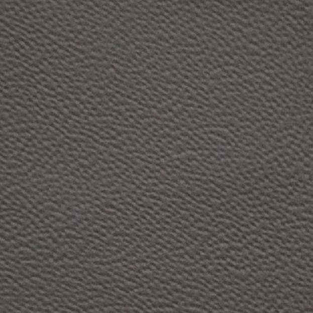 Autoleder_NAPPA_Premium_Plus-3219_tartufohell_Typ_Porsche
