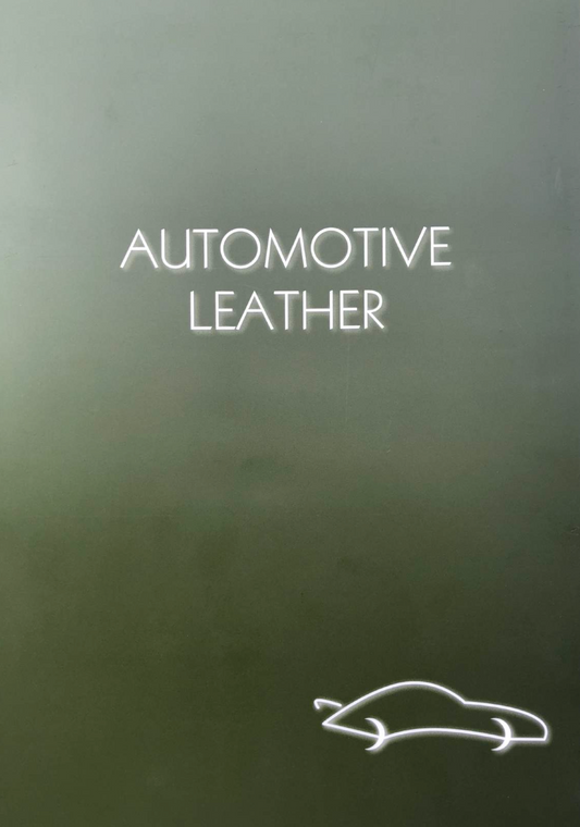 Car leather sample collection 184 samples - A4 folder