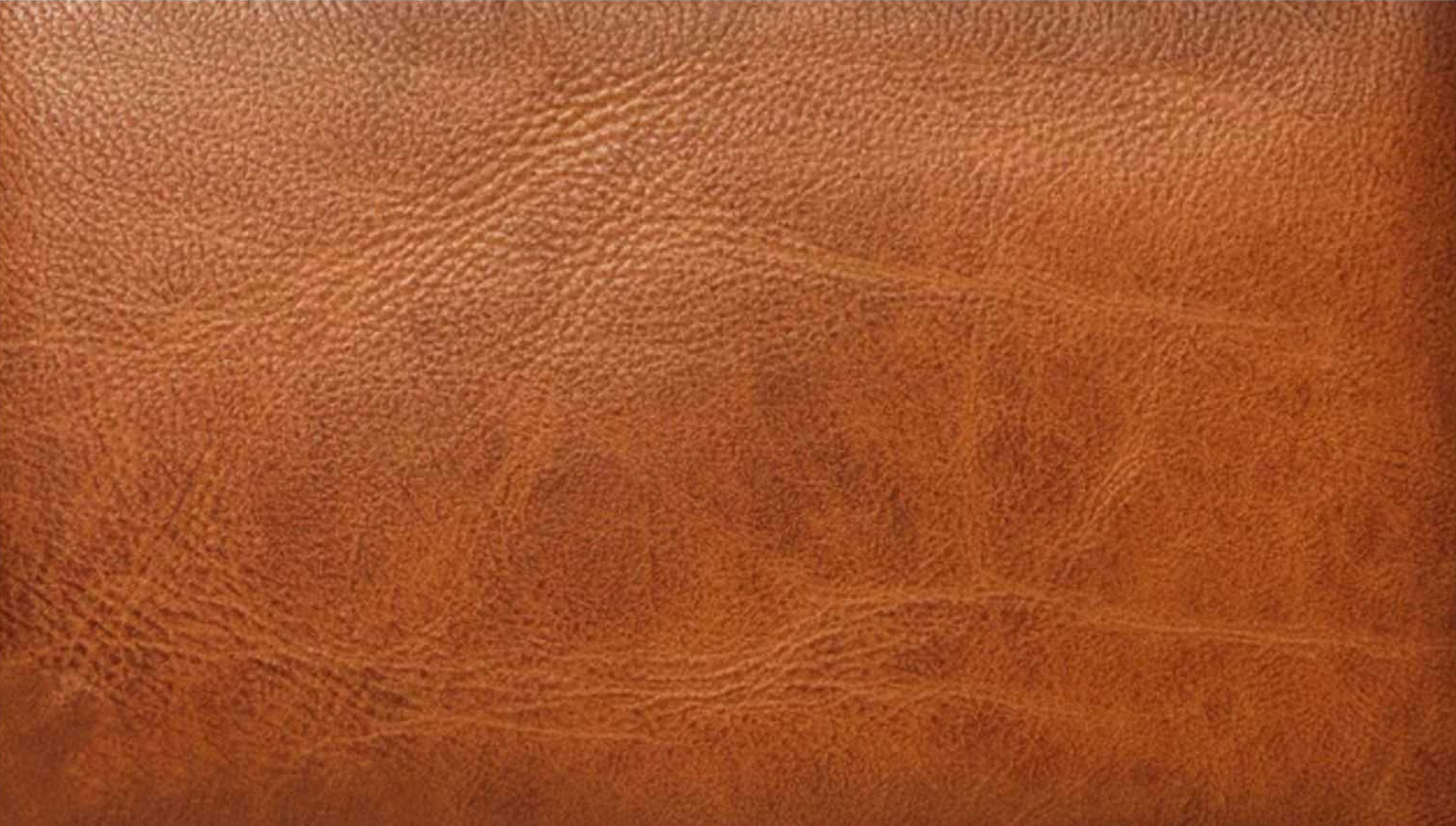 BMW Dakota Leder – Alle Originalfarben & Profi-Tipps für Restaurierung