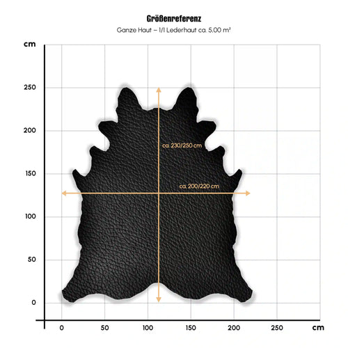 Lederhaut_1_1_EU_Haut_230_250x200_220cm