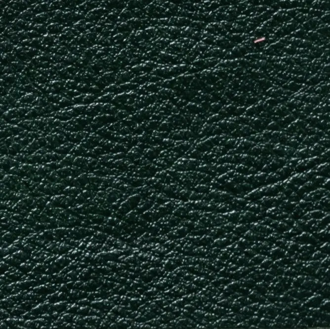 Polsterleder Hochglanz-Effekt zweifarbig glänzend – Farbe Grün