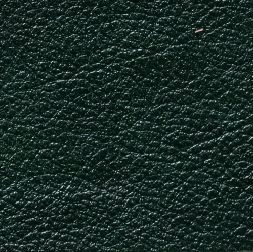 Polsterleder Hochglanz-Effekt zweifarbig glänzend – Farbe Grün
